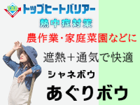 シャネボウ あぐりボウ